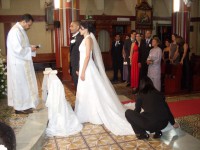 /album/galeria-de-fotos/imagem-155-jpg/